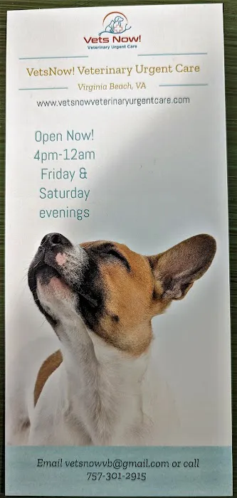 VetsNow! Veterinary Urgent Care Picture 3