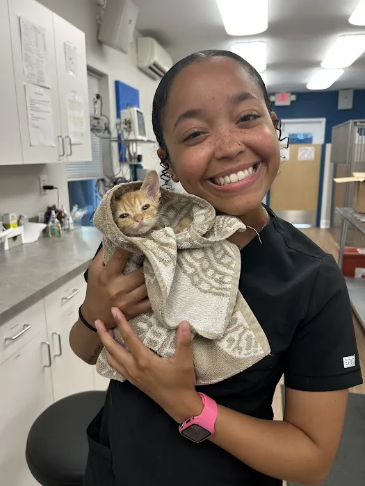VetsNow! Veterinary Urgent Care Picture 7