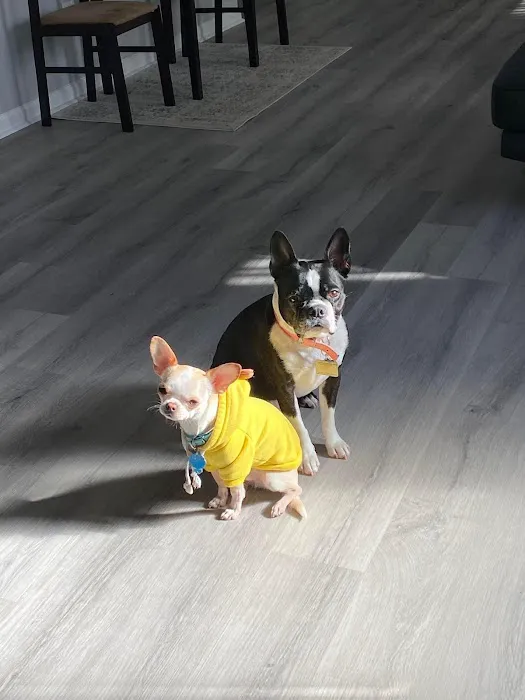 Banfield Pet Hospital Picture 8