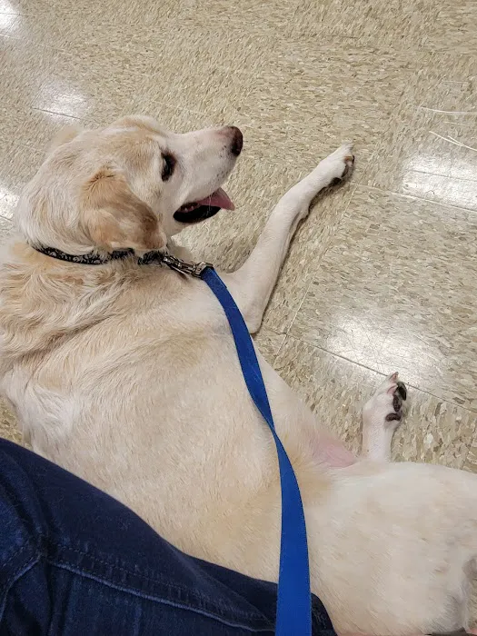 Banfield Pet Hospital Picture 10