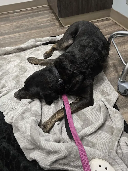 Bay Beach Veterinary Hospital Picture 3