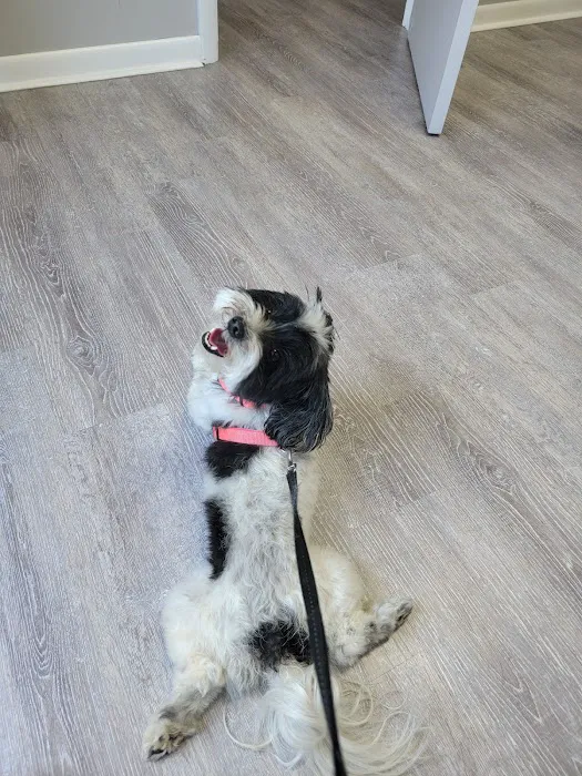 Bayside Veterinary Clinic Picture 2