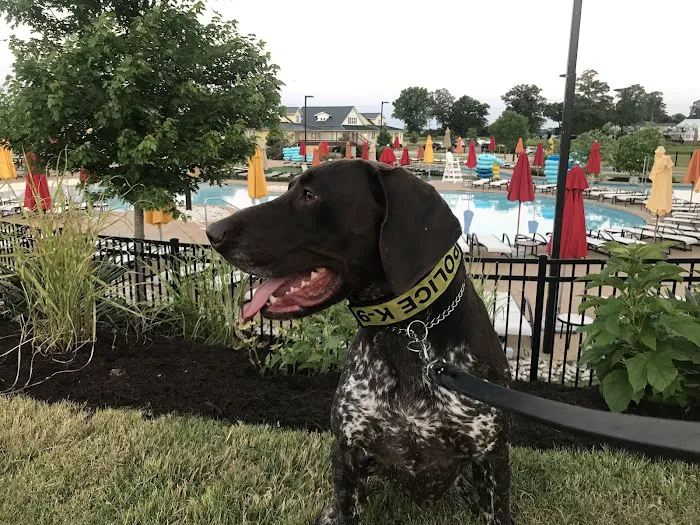 Virginia Beach Veterinary Hospital Picture 9