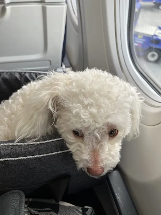 Dr. Hope for Pets Picture 2