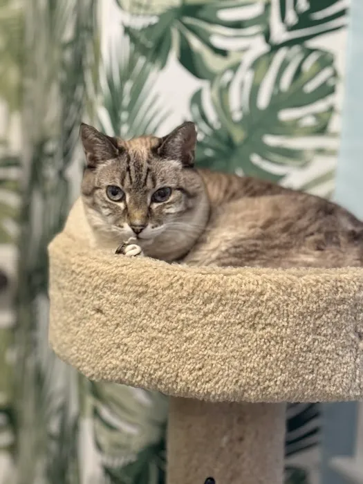 Dr. Hope for Pets Picture 4