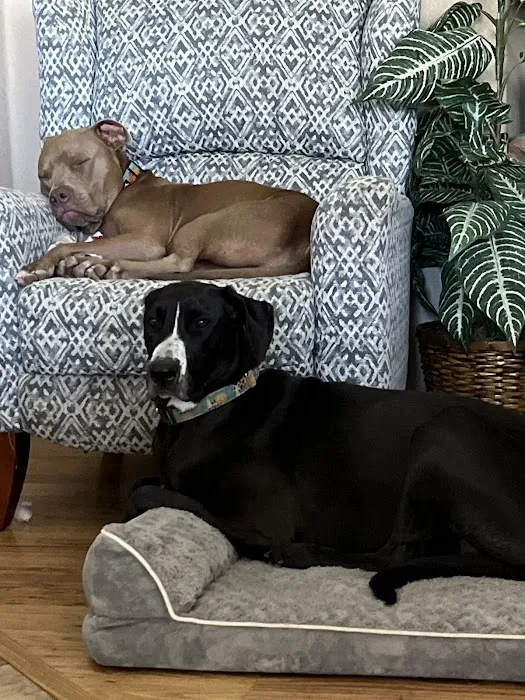 Dr. Hope for Pets Picture 5