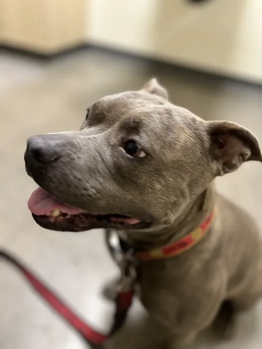 Dr. Hope for Pets Picture 8
