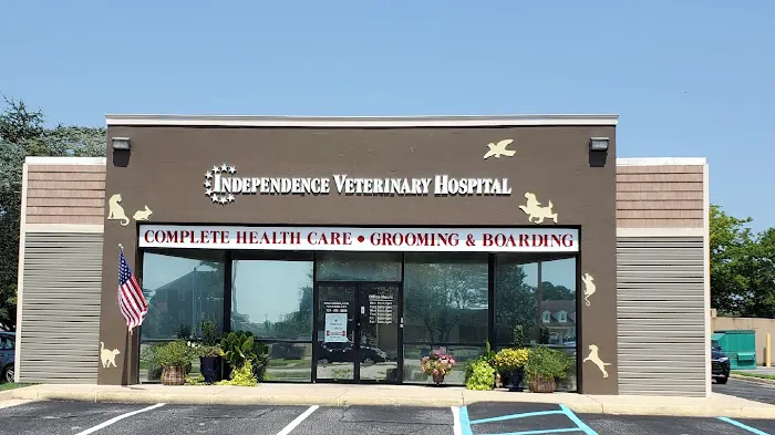 Independence Veterinary Hospital Picture 4