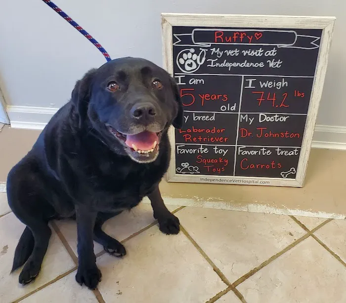 Independence Veterinary Hospital Picture 8