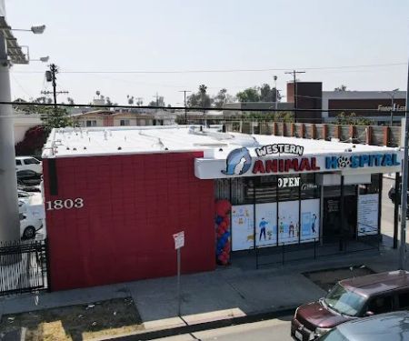 Western Animal Hospital