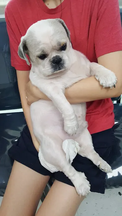 Western Animal Hospital Picture 2