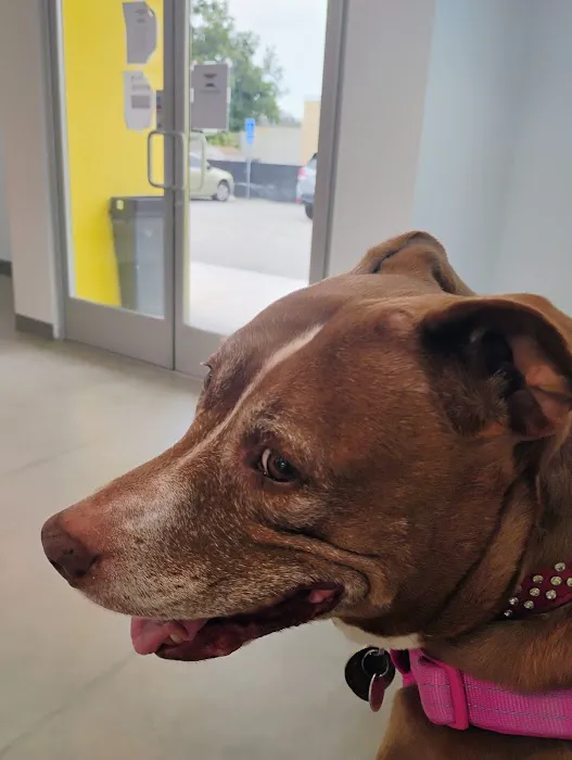 Los Angeles Veterinary Center Picture 2
