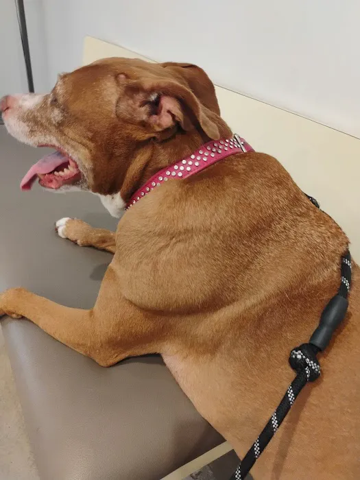 Los Angeles Veterinary Center Picture 5