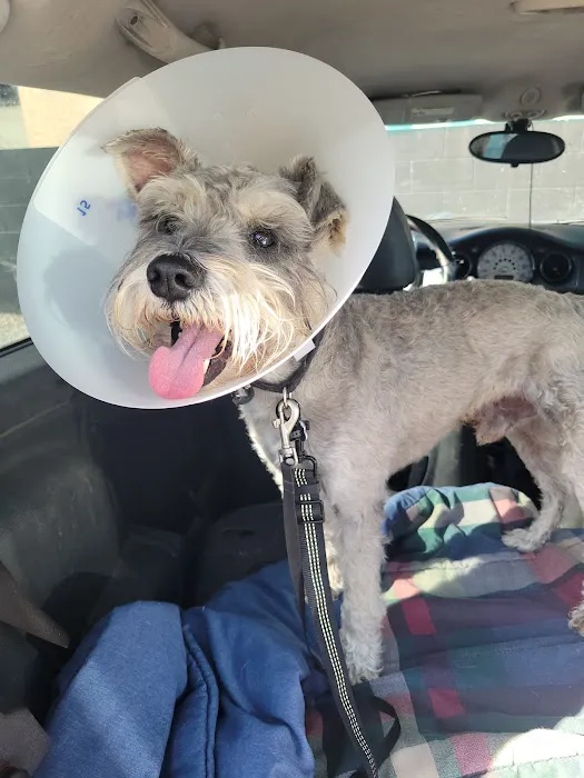 Los Angeles Veterinary Center Picture 7