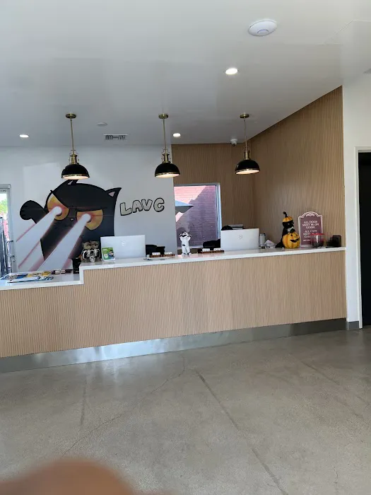 Los Angeles Veterinary Center Picture 9