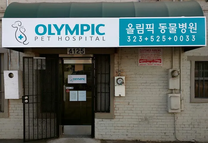 Olympic Pet Hospital Picture 2