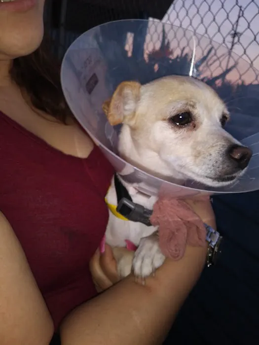 ARK ANIMAL HOSPITAL Picture 8