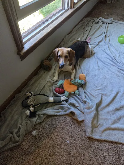 Banfield Pet Hospital Picture 6