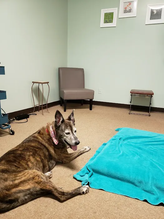 P.A.W.S. for Rehabilitation Picture 2