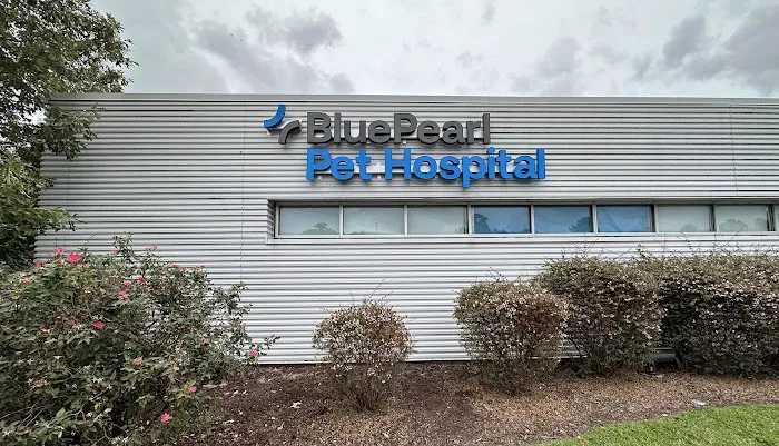 BluePearl Pet Hospital Picture 5