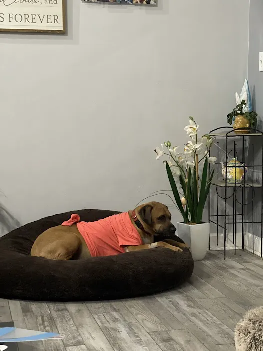 BluePearl Pet Hospital Picture 10