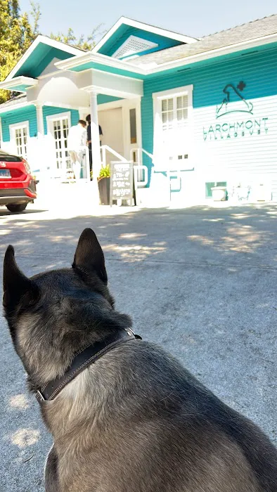 Larchmont Village Vet Picture 10