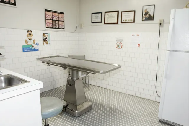 Los Feliz Small Animal Hospital Picture 1