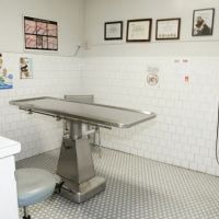Los Feliz Small Animal Hospital ico