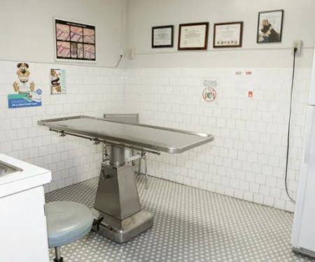 Los Feliz Small Animal Hospital