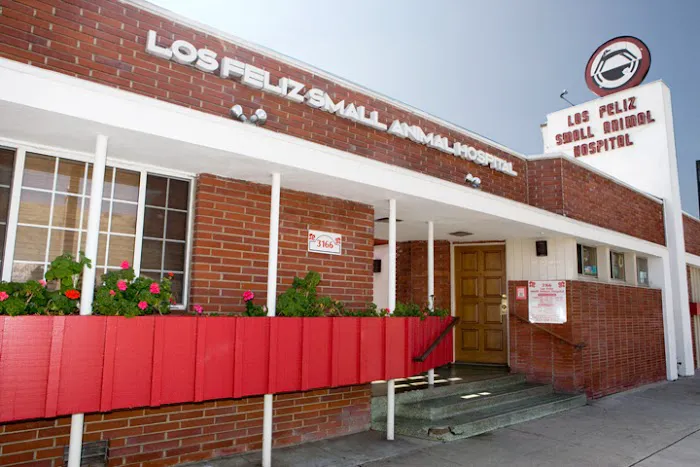 Los Feliz Small Animal Hospital Picture 2
