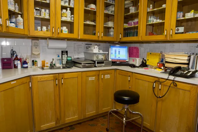 Los Feliz Small Animal Hospital Picture 6