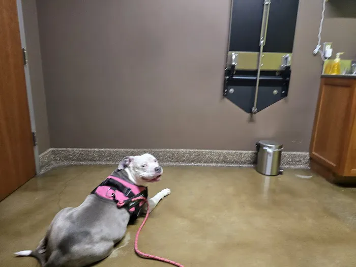 Veterinary Care Center Picture 3
