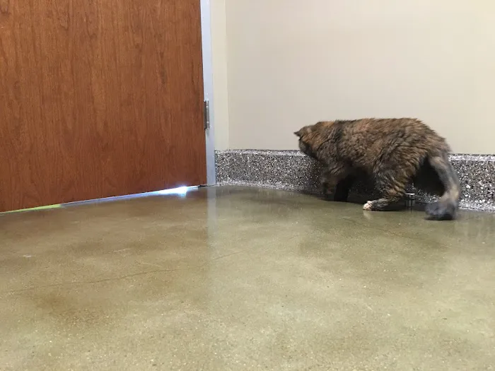 Veterinary Care Center Picture 4