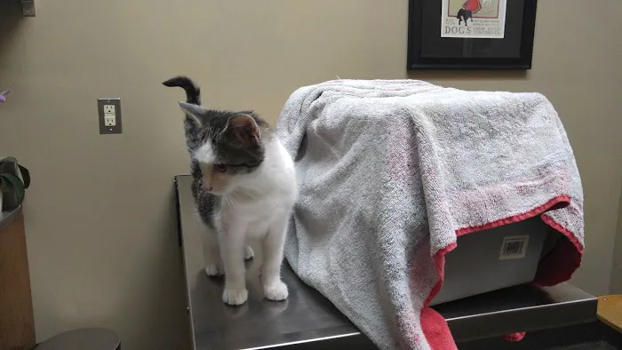 Veterinary Care Center Picture 6