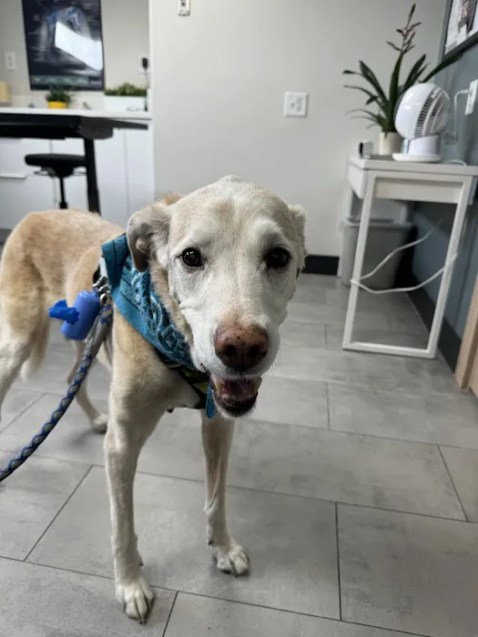 Cahuenga Veterinary Hospital Picture 2