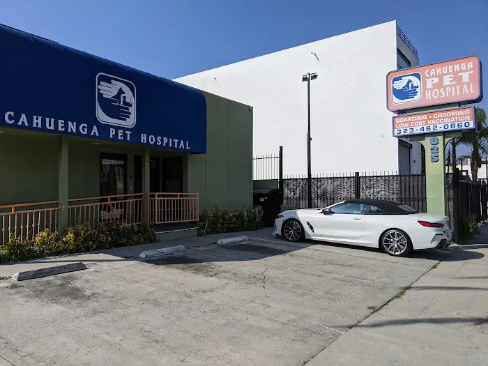 Cahuenga Veterinary Hospital Picture 3