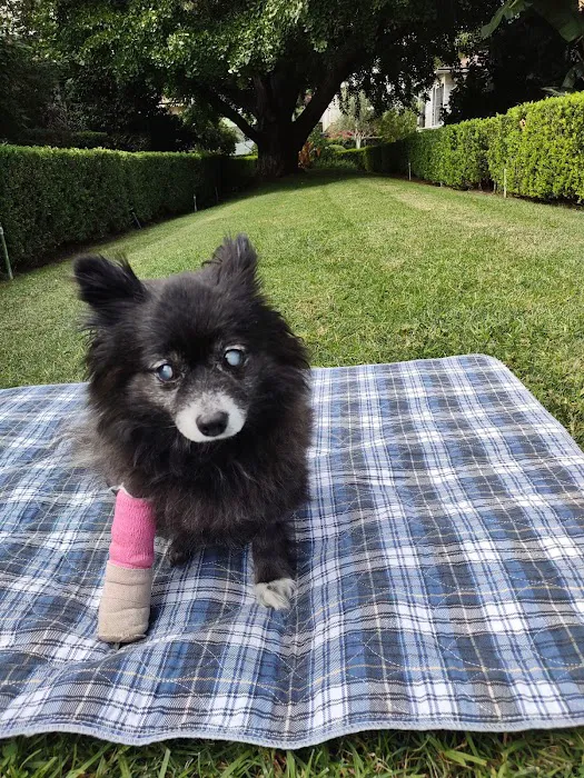 Cahuenga Veterinary Hospital Picture 5