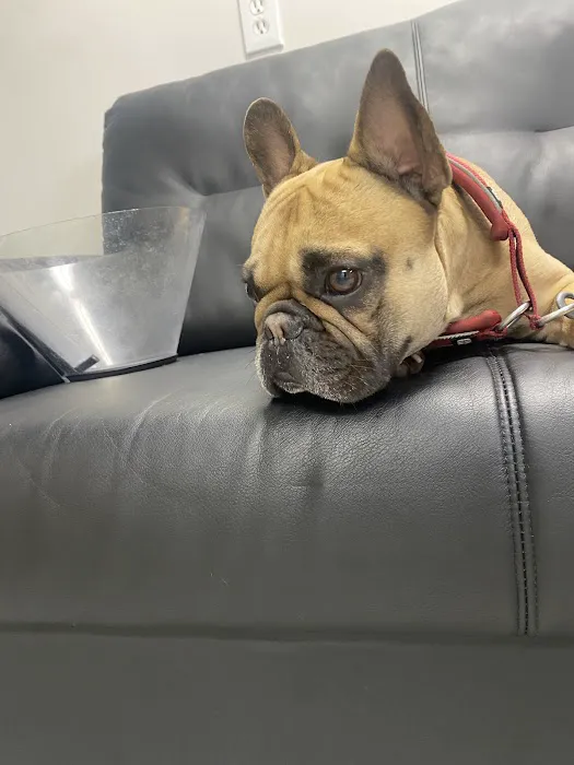 Cahuenga Veterinary Hospital Picture 7