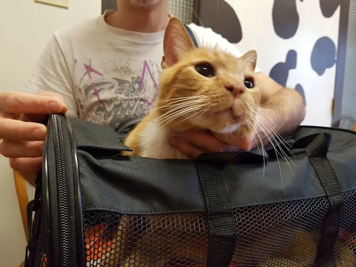 L.A. Pet Clinic Picture 1