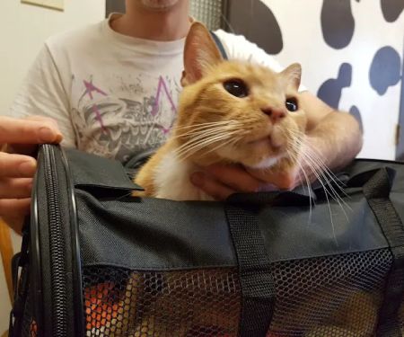 L.A. Pet Clinic
