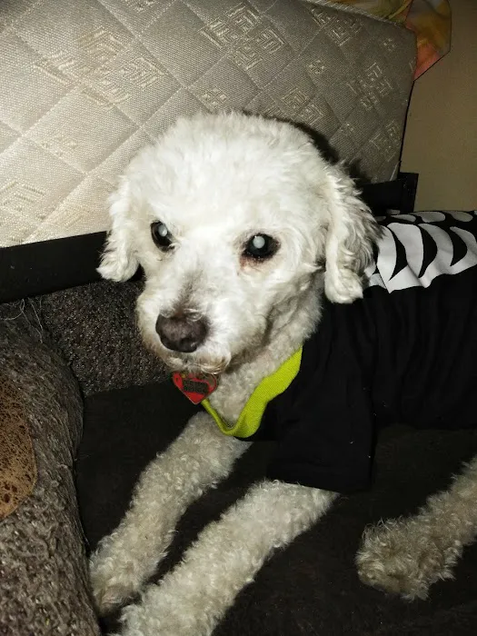 Animal Specialty Group Inc: Sullivan Stacey DVM Picture 3
