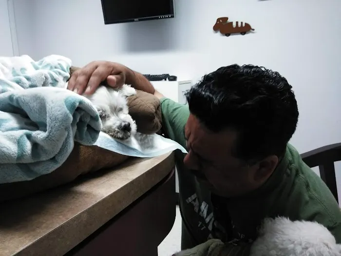 Animal Specialty Group Inc: Sullivan Stacey DVM Picture 9