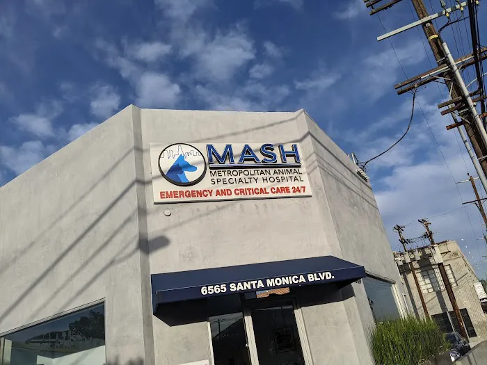 Metropolitan Animal Specialty Hospital (MASH) Picture 2