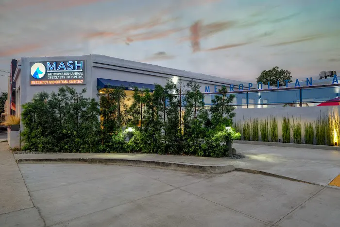 Metropolitan Animal Specialty Hospital (MASH) Picture 1