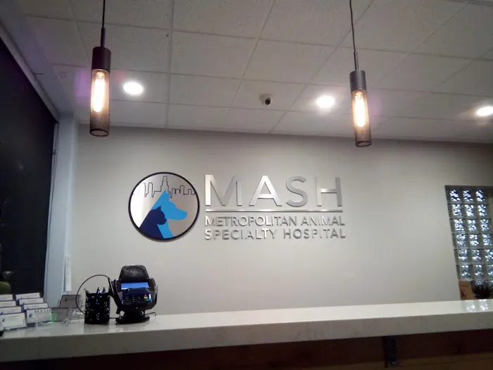 Metropolitan Animal Specialty Hospital (MASH) Picture 8