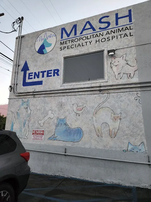 Metropolitan Animal Specialty Hospital Outpatient Picture 10