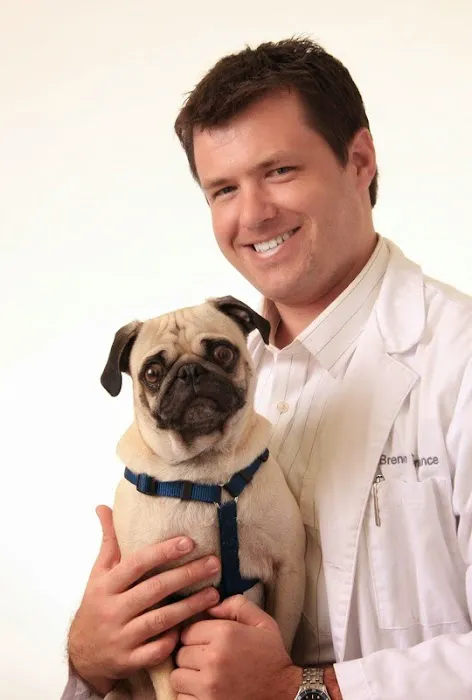 Hancock Park Veterinary Clinic Picture 8