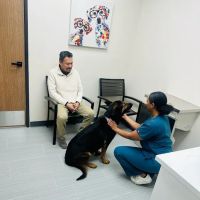 Urgent Care Animal Hospital ico