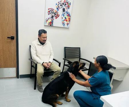 Urgent Care Animal Hospital