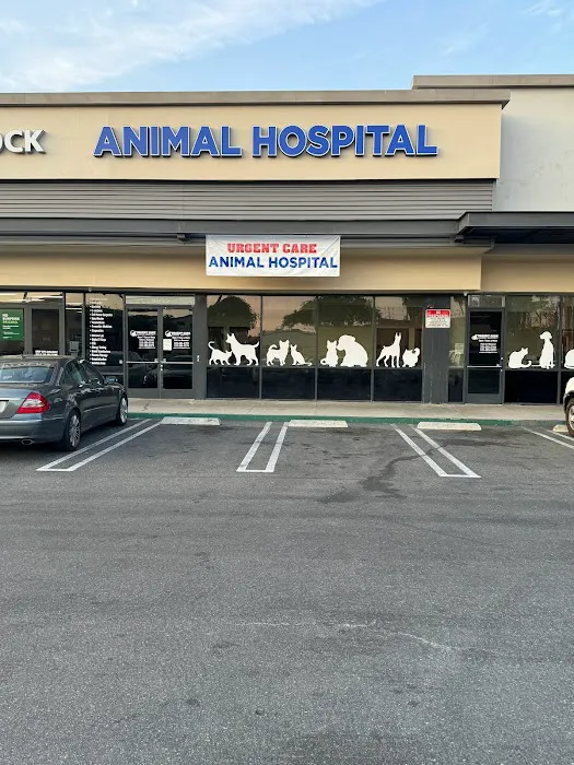 Urgent Care Animal Hospital Picture 7